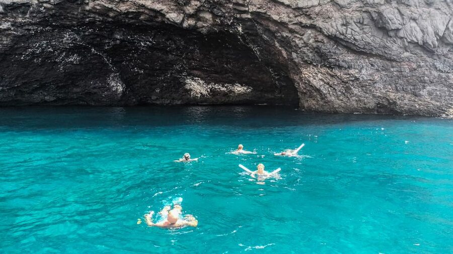Whale and Dolphin Watching Sailing Tour – Los Gigantes (3H) - Is $76 a fair price?