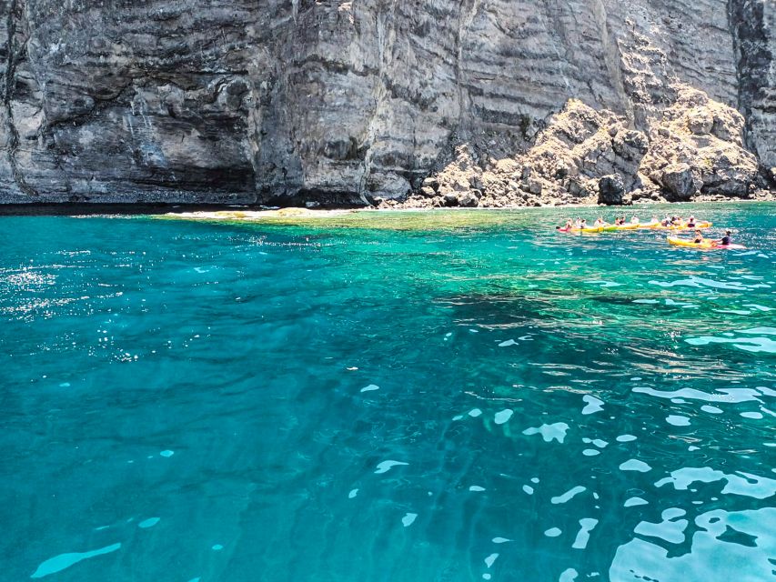 Whale and Dolphin Watching Sailing Tour – Los Gigantes (3H) - Who will enjoy this sailing tour most?
