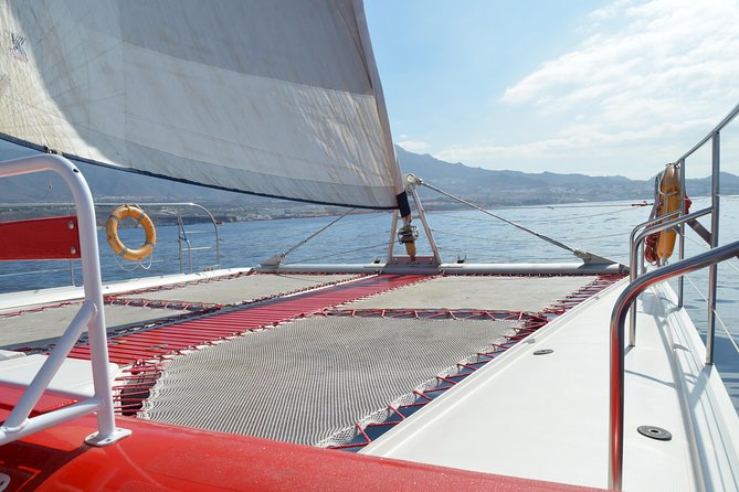 Whale watching and listening Eco-Catamaran Tour with Food Tasting - Quick points before you book