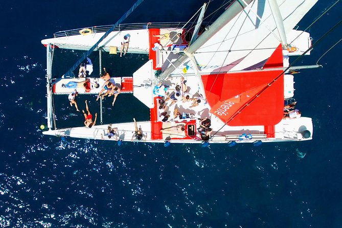 Whale watching and listening Eco-Catamaran Tour with Food Tasting - Swimming and snorkeling in the bay