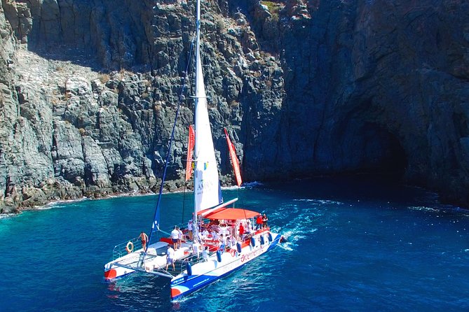 Whale watching and listening Eco-Catamaran Tour with Food Tasting - The final call: good value with realistic expectations