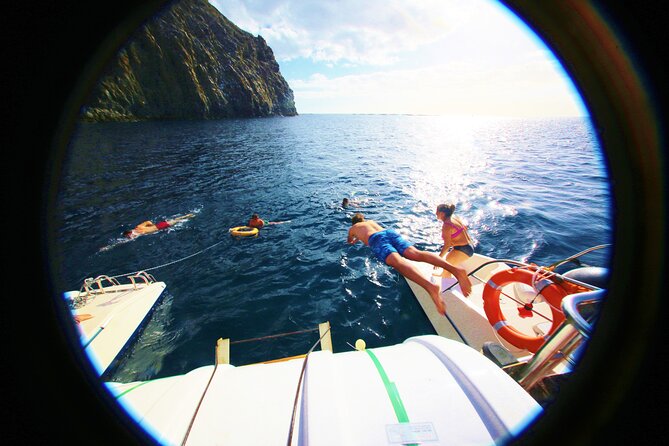 Whale Watching and Listening Eco Catamaran Tour with Food Tasting - Searching for whales and dolphins off Tenerife