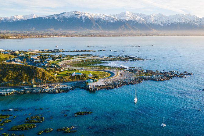 Whale Watching in Kaikoura by Boat - Dolphins, seals, birds, and surprise sightings