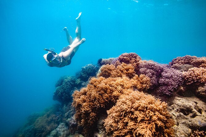 Whitehaven Beach and Hill Inlet Lookout Snorkeling Cruise - Key points before you book