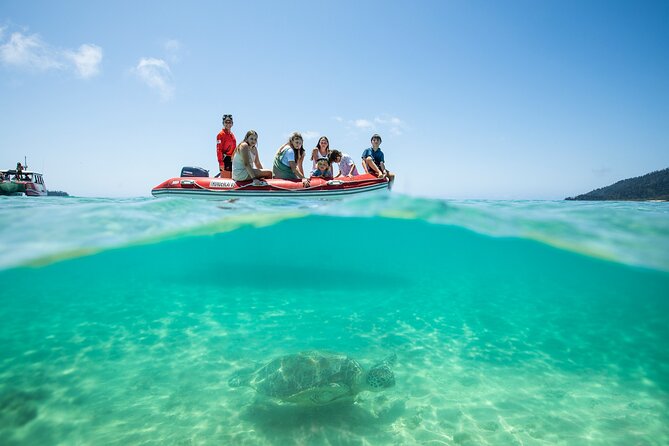 Whitehaven Beach and Hill Inlet Lookout Snorkeling Cruise - What the staff do well
