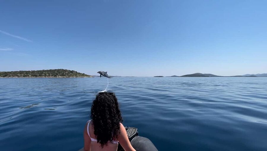 Zadar: Island Luxury Speedboat Tour with Snorkeling - Ošljak: walking, swimming, and the best first look